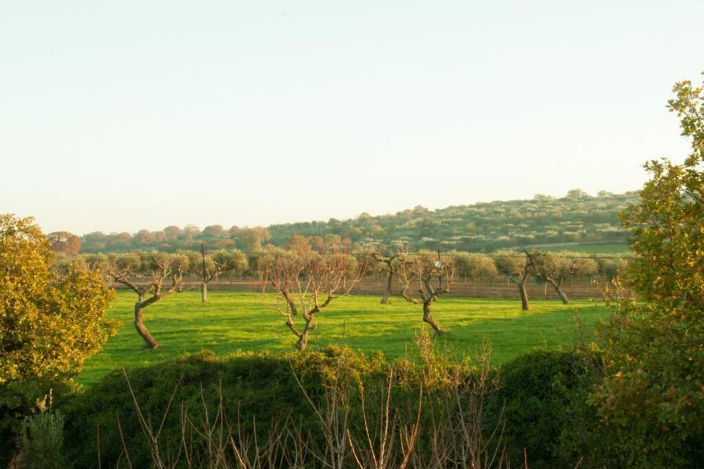 Il Pero Villa Monopoli Buitenkant foto