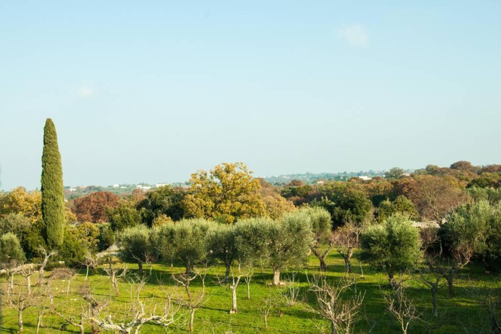 Il Pero Villa Monopoli Buitenkant foto